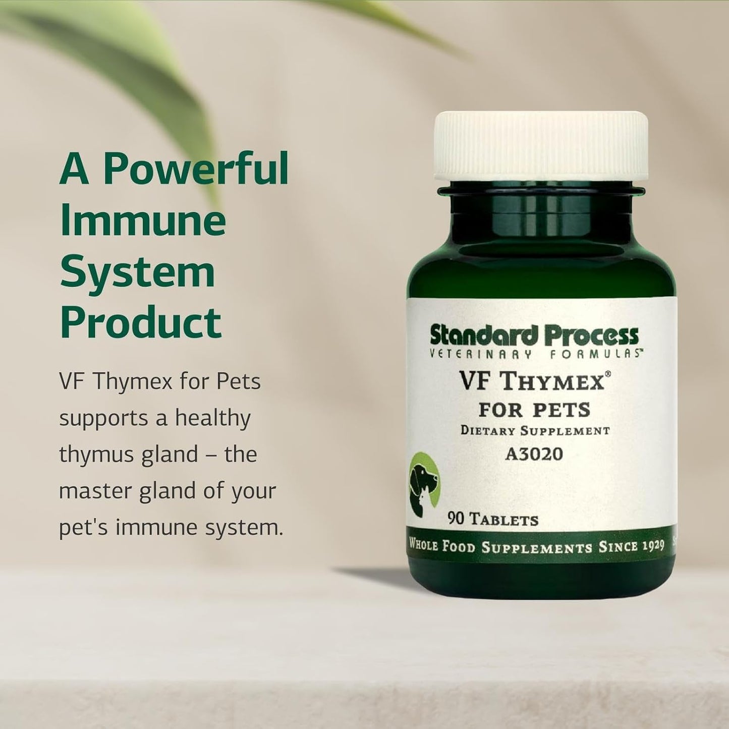 Standard Process Inc. VF Thymex for Pets - Cat & Dog Immune System Support Supplement - Thymus Supplement to Aid Canine & Feline Immune Health - Supplement with Vitamin C - 90 Tablets - Pet Explorer
