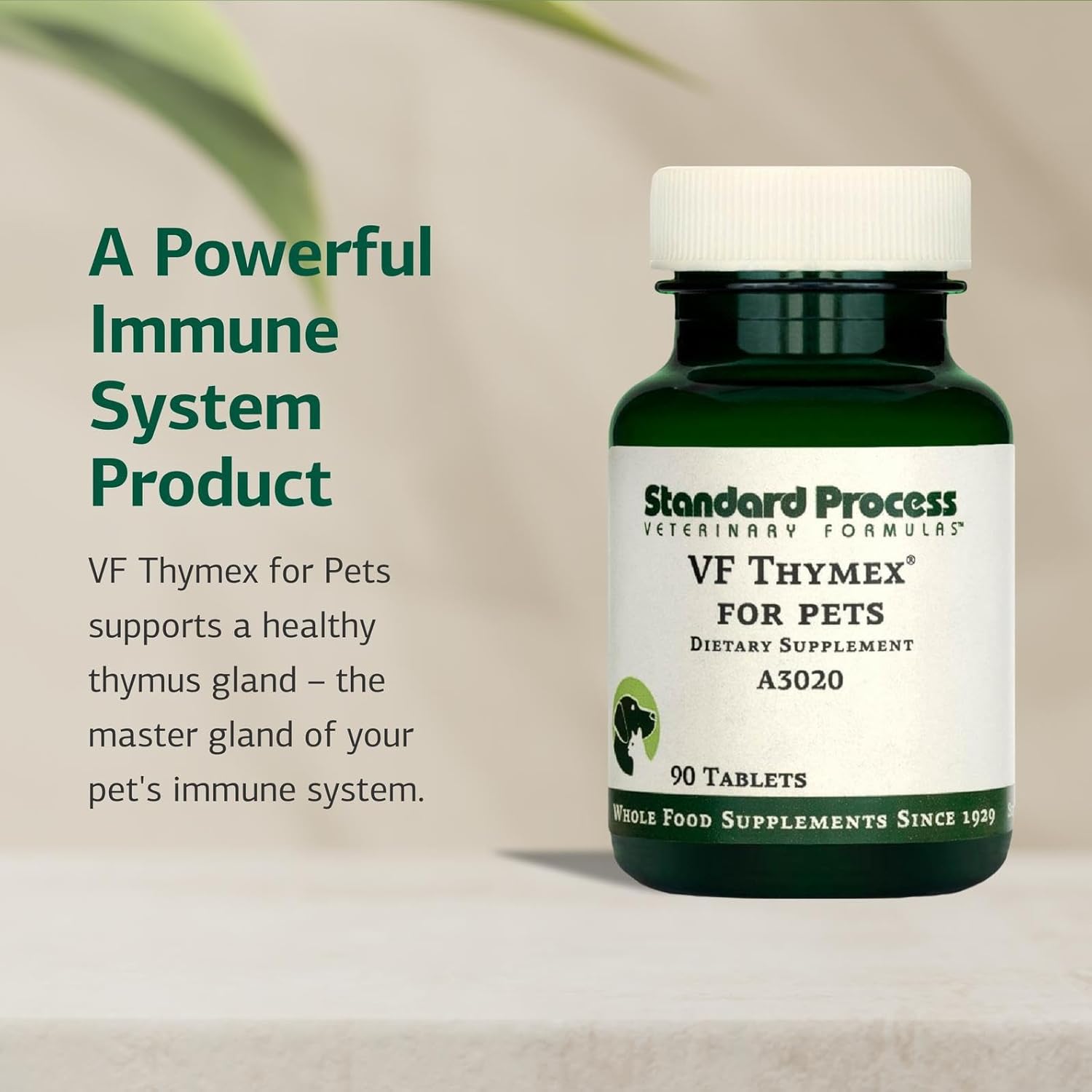 Standard Process Inc. VF Thymex for Pets - Cat & Dog Immune System Support Supplement - Thymus Supplement to Aid Canine & Feline Immune Health - Supplement with Vitamin C - 90 Tablets - Pet Explorer