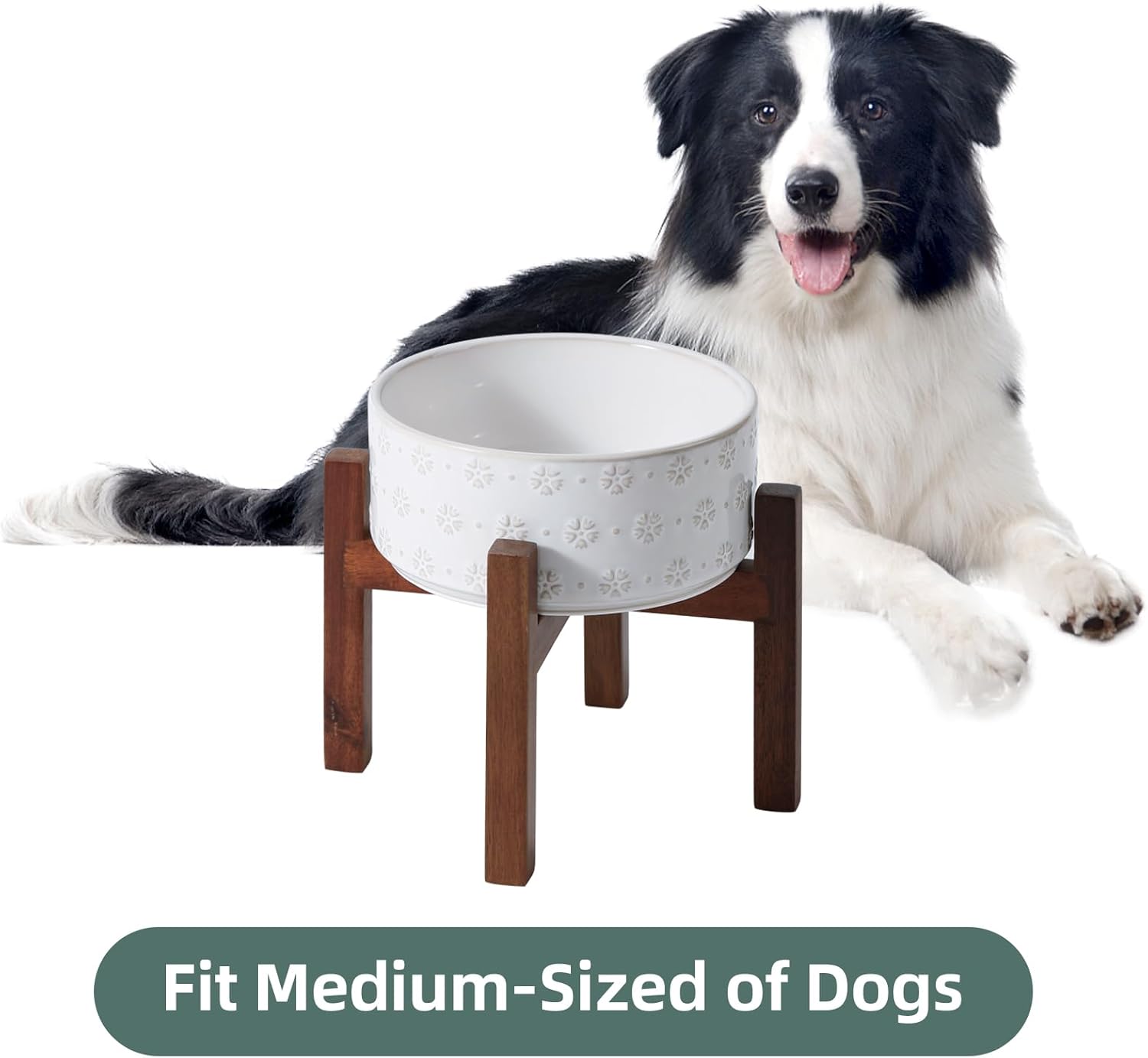 7.3inch Ceramic Raised Dog Bowl Set, Elevated with Acacia Wood Stand, Food and Water Bowl for Medium Breed Dogs, Weighted Dog Dishes, Pet Bowl(41OZ, Arctic White) - Pet Explorer