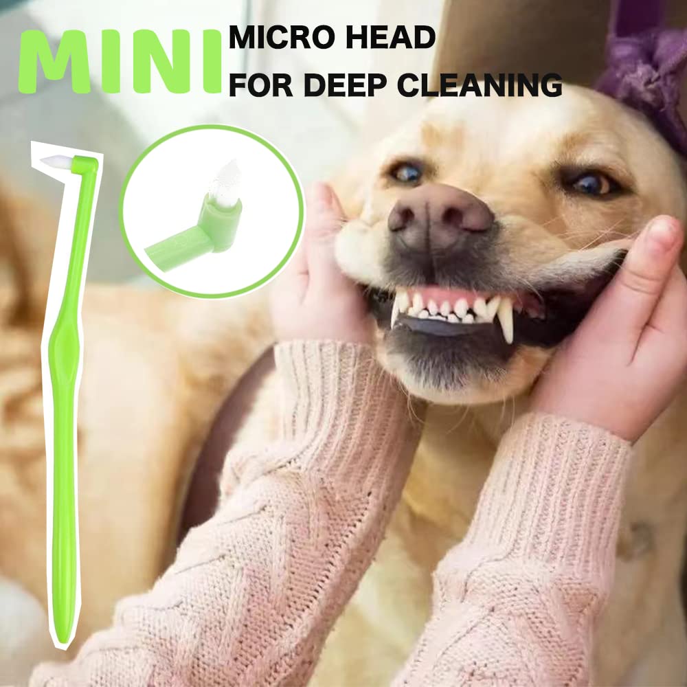 8 Pack Small Dog & Cat Toothbrush Kit, 360º Pet Toothbrush/Mini Head/Dual Head / 10000 Ultra-Soft Bristles Tooth Brush/Finger Toothbrushs for Cat Kitten Doggie Dental Care, Oral Hygiene - Pet Explorer