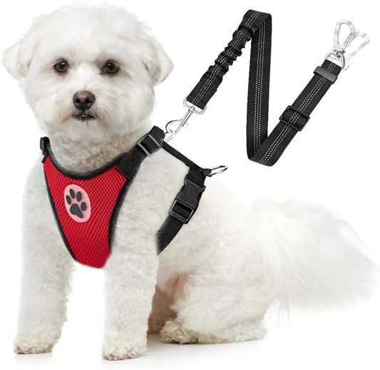 SlowTon Dog Seat Belt Harness for Car, Dog Car Harness Adjustable Mesh Breathable & Dog Seatbelt Safety Tether with Elastic Bungee for Small Medium Large Pets(Red, Double Clip, XS) - Pet Explorer