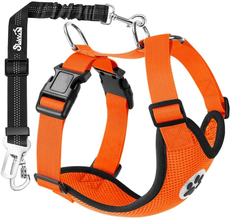 SlowTon Dog Seat Belt Harness for Car, Dog Car Harness Adjustable Mesh Breathable & Dog Seatbelt Safety Tether with Elastic Bungee for Small Medium Large Pets(Orange, Double Clip, M) - Pet Explorer