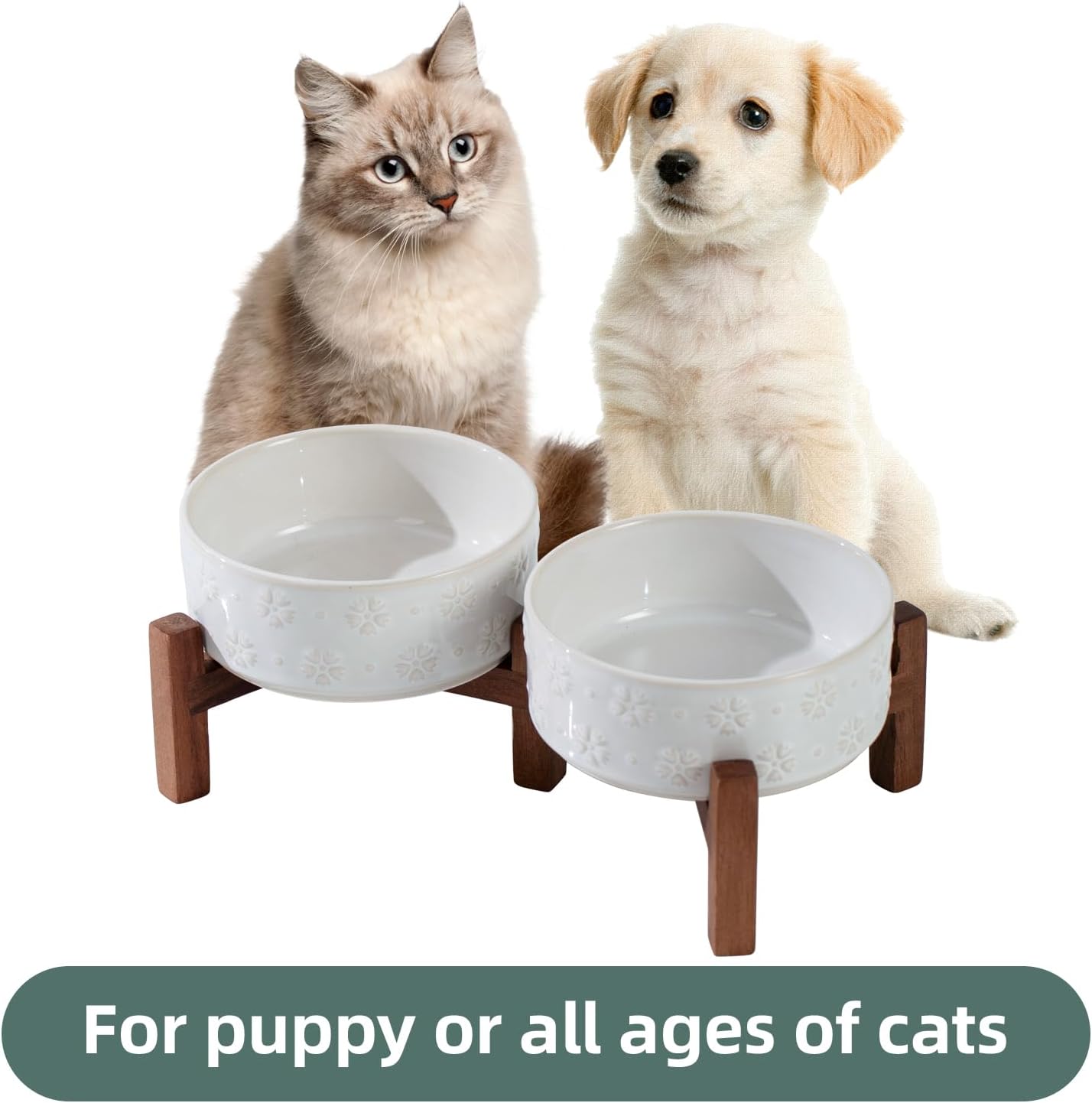 Ceramic 5.1inch Raised Double Bowls Set with Acacia Wood Stand, 2 Heights Elevated, Food & Water Bowls for Puppy, Kitty, Cats(13.5oz, Arctic White) - Pet Explorer