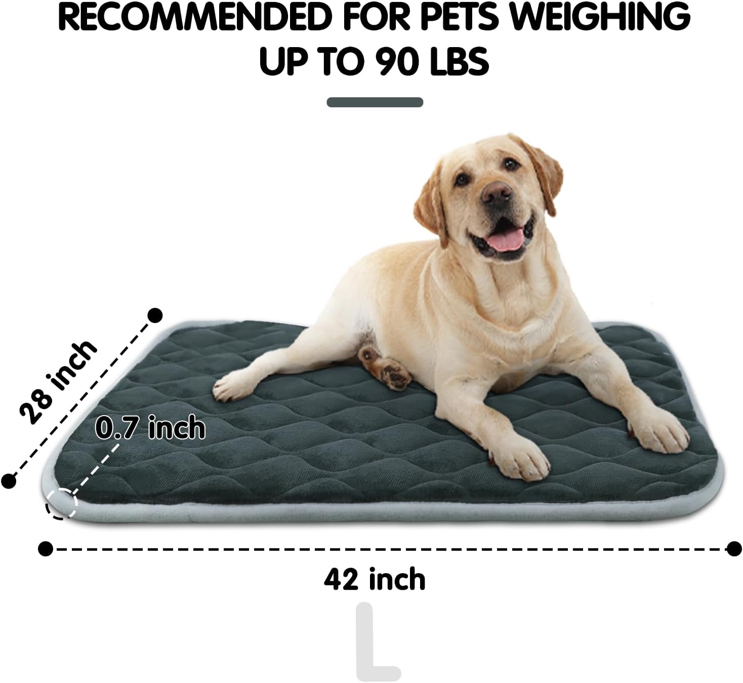 furrybaby Dog Bed Mat Flat Crate Mat with Anti-Slip Bottom Machine Washable Pet Kennel Pad for Dog Sleeping (L 42x28'', Grey Mat) - Pet Explorer