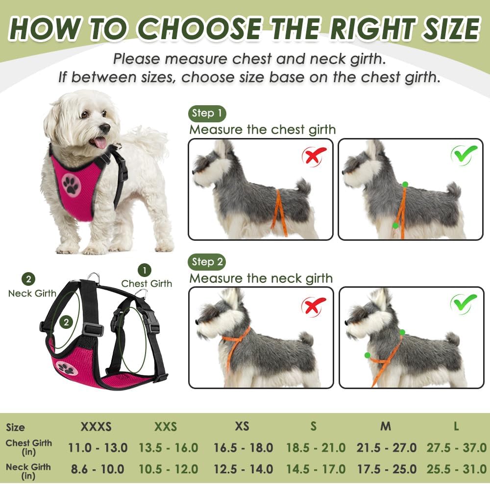 SlowTon Dog Seat Belt Harness for Car, Dog Car Harness Adjustable Mesh Breathable & Dog Seatbelt Safety Tether with Elastic Bungee for Small Medium Large Pets(Fuchsia, Double Clip, L) - Pet Explorer