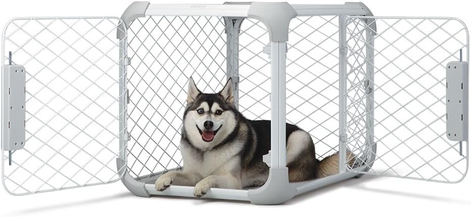 DIGGS Evolv Dog Crate - Slim, Durable Dog Kennel with Removable Ceiling Panel and Modular Design - Safe, Stylish, and Convenient (Ash, Medium) - Pet Explorer