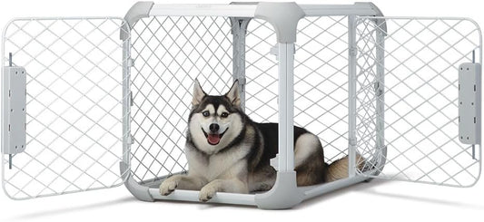 DIGGS Evolv Dog Crate - Slim, Durable Dog Kennel with Removable Ceiling Panel and Modular Design - Safe, Stylish, and Convenient (Ash, Medium) - Pet Explorer