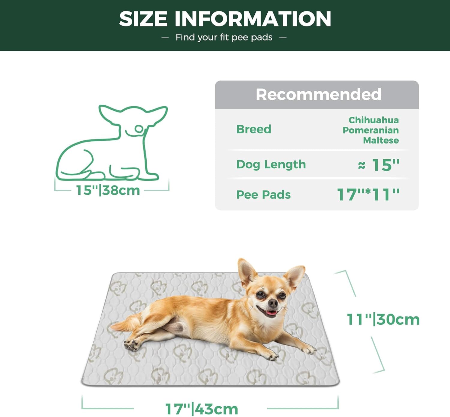 FXW Washable Pee Pads for Dogs, Puppy Pads with Super Absorbent, Specifically Designed for 18inch Cages, 17" × 11" Rectangle, Khaki, 1 Pack - Pet Explorer