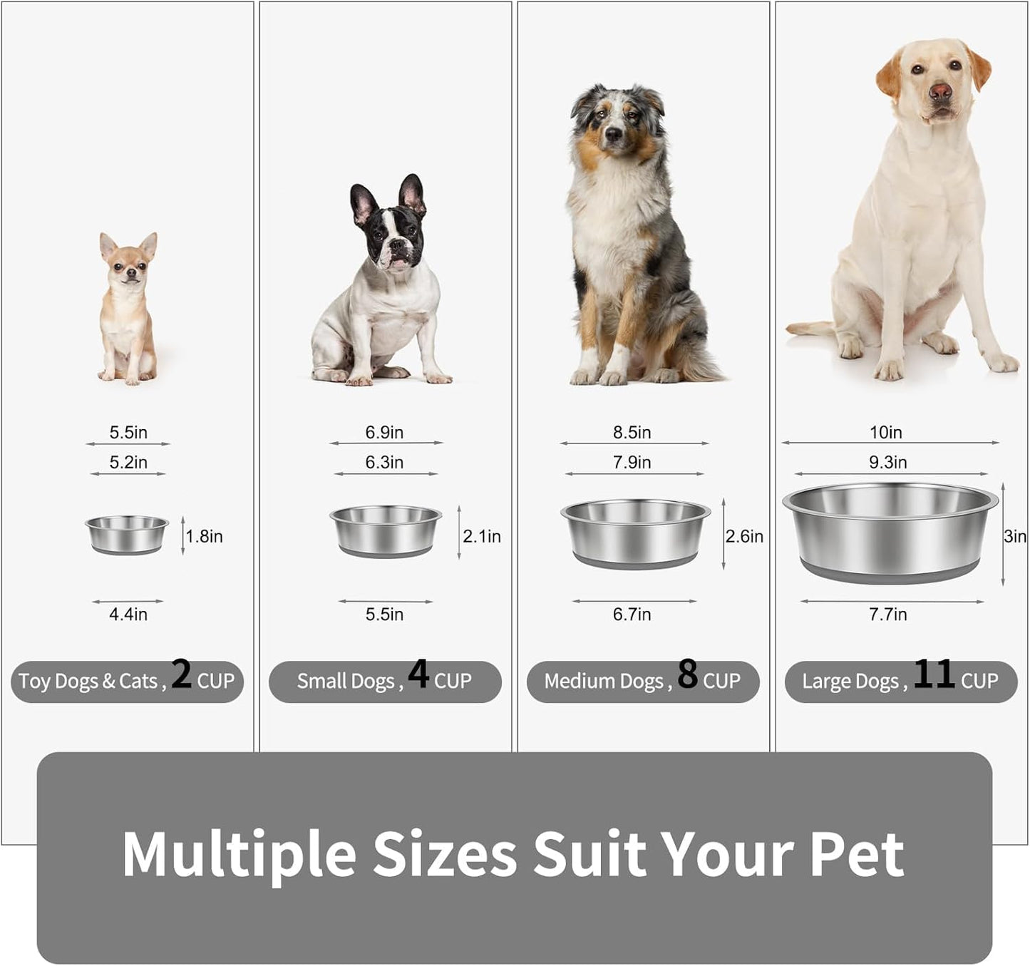 Taglory 8 Cup Stainless Steel Dog Bowls Set of 2 for Food and Water, Silicone Base Anti-Slip, Rust Resistant, Extra Thick Metal Bowls for Medium Dogs, 59oz, Gray - Pet Explorer
