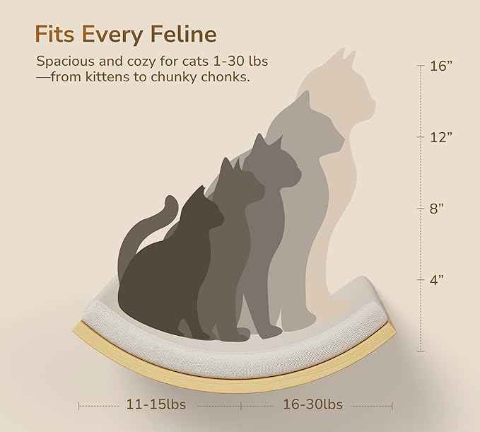 Cat Window Perches, Curved Cat Wall Beige Bed and 2 Floating Wall Steps, Wall Mounted Climbing Shelves for Sleeping, Playing, and Lounging