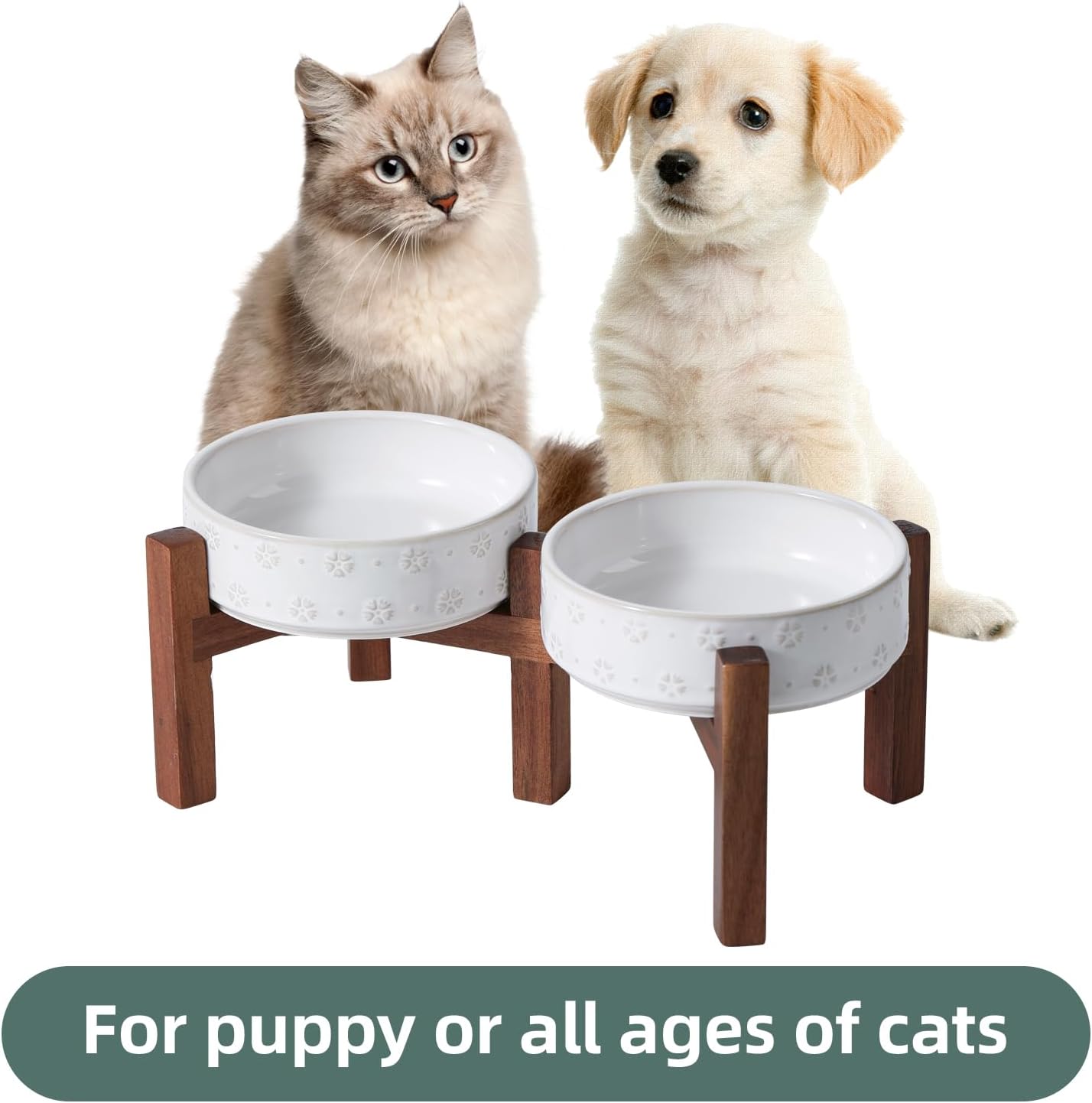 6.1inch Ceramic Raised Double Bowls Set with Acacia Wood Stand, 2 Heights Elevated, Food & Water Bowls for Toy Breed Dogs, Kitty, Cats, Pet Bowl(13.5OZ, Arctic White) - Pet Explorer