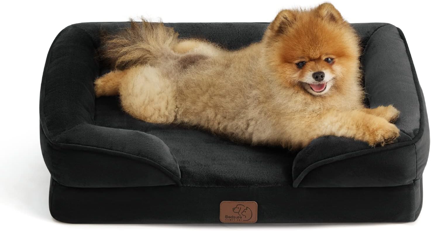 Bedsure Orthopedic Dog Beds for Small Dogs - Washable Small Dog Cat Bed Waterproof, Comfort Pet Couch Sofa with Washable Removable Cover, Pets Bed with Nonskid Bottom, Black, 24" - Pet Explorer