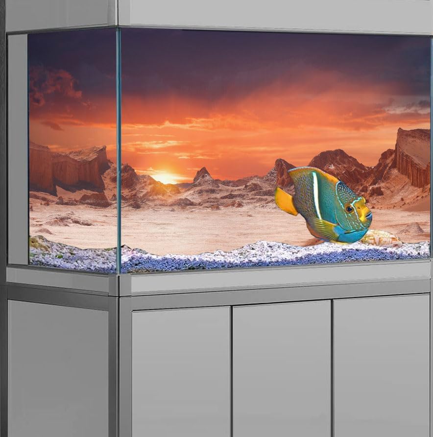 48X18IN Sun and Desert Moon Themed Reptile Habitat on Orange Durable Decorative Background, Terrarium Background with 10EVA Double-Sided Tape - Pet Explorer