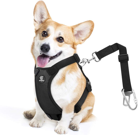 Dog Seat Belt, Safety Vest Dog Car Harness with Adjustable Buckle Dog Seat Belt for Vehicle Nylon Pet Safety Seat Belts Heavy Duty(S, Black) - Pet Explorer