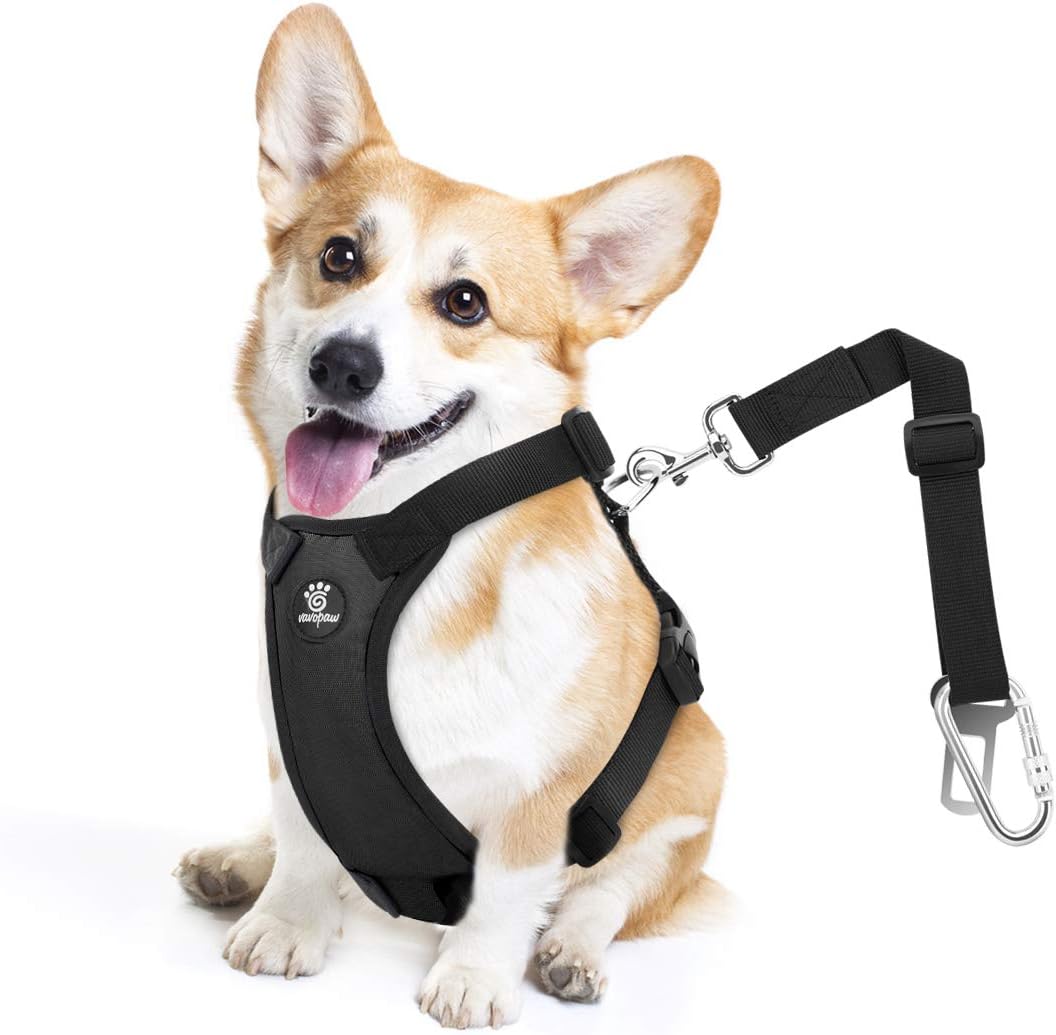 Dog Seat Belt, Safety Vest Dog Car Harness with Adjustable Buckle Dog Seat Belt for Vehicle Nylon Pet Safety Seat Belts Heavy Duty(M, Black) - Pet Explorer