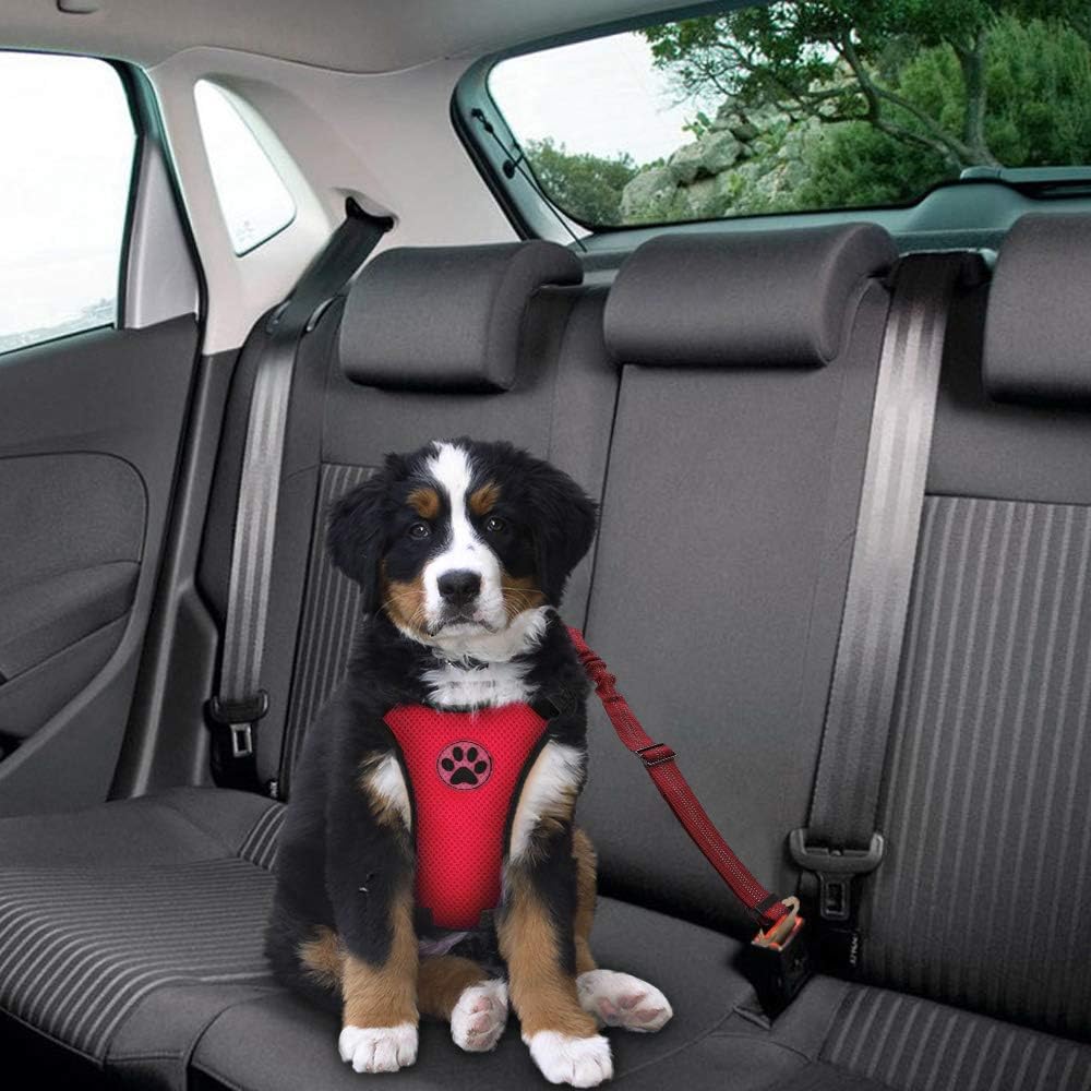 SlowTon Dog Seat Belt Harness for Car, Dog Car Harness Adjustable Mesh Breathable & Dog Seatbelt Safety Tether with Elastic Bungee for Small Medium Large Pets(Red Seatbelt, Single Clip, XXXS) - Pet Explorer
