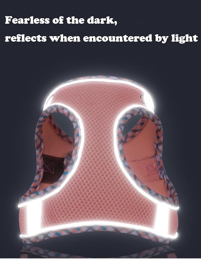 Dog Harness and Leash Set, No Pull Adjustable Reflective Pet Harness, Step in Vest Harness Easy Walk Dog Harness Outdoor Hiking Training for Small Medium Dogs, Cats(Purple, M)