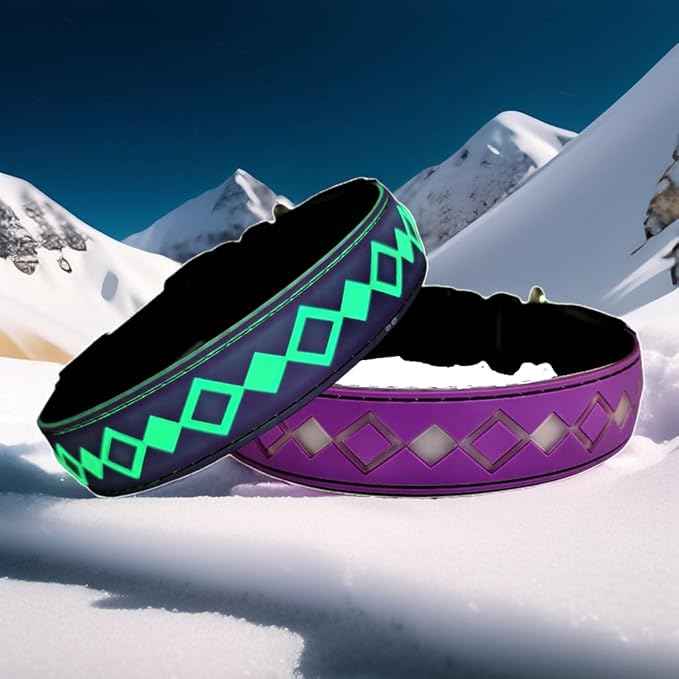 LED Dog Collar with AirTag Holder and Custom ID Tag, 15 Light Modes, Waterproof, Multiple Colors (PURPLE, M(11.8-15.7"))
