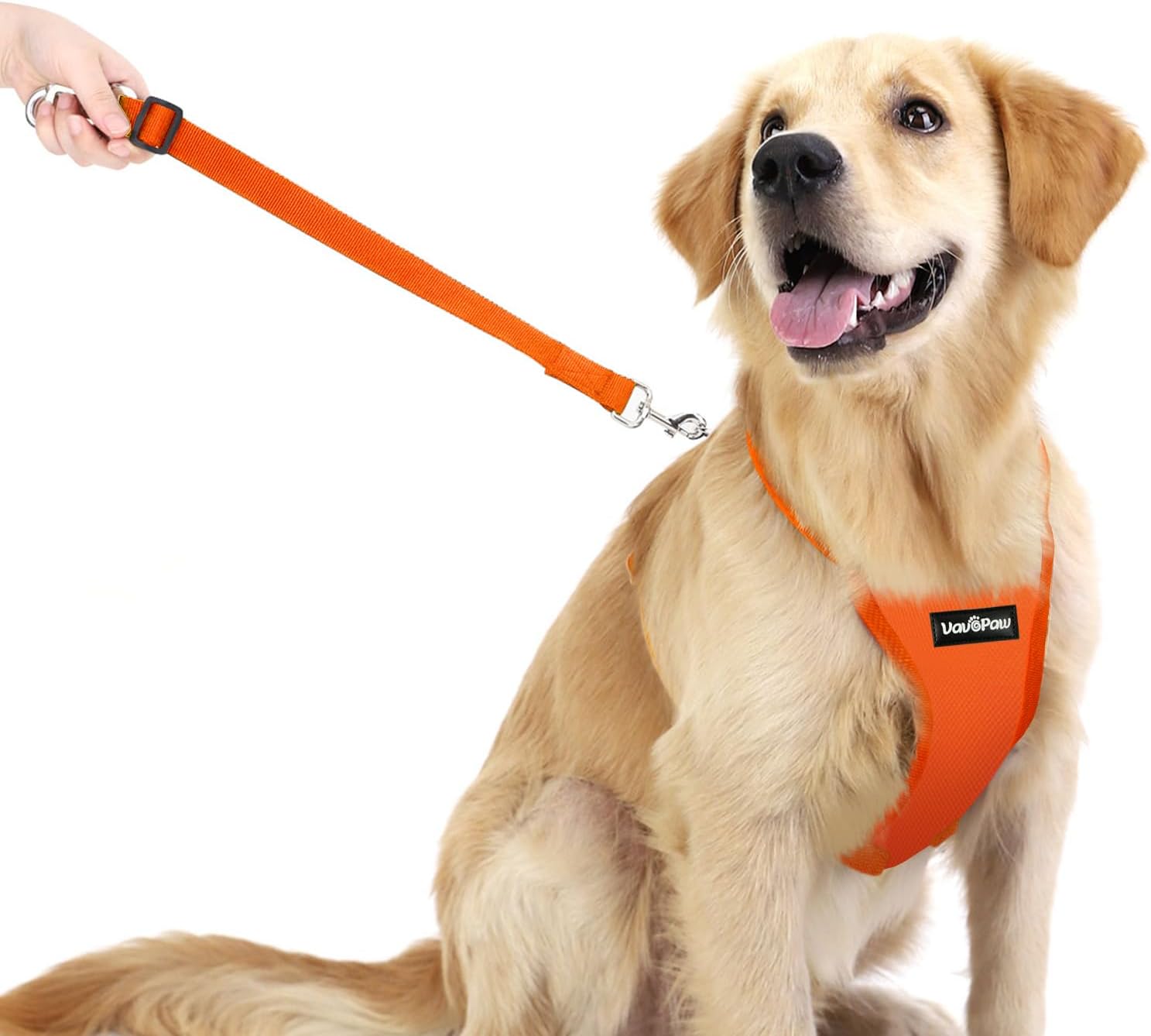 Dog Seat Belt, Safety Vest Dog Car Harness with Adjustable Buckle Dog Seat Belt for Vehicle Nylon Pet Safety Seat Belts Heavy Duty(S, Orange) - Pet Explorer
