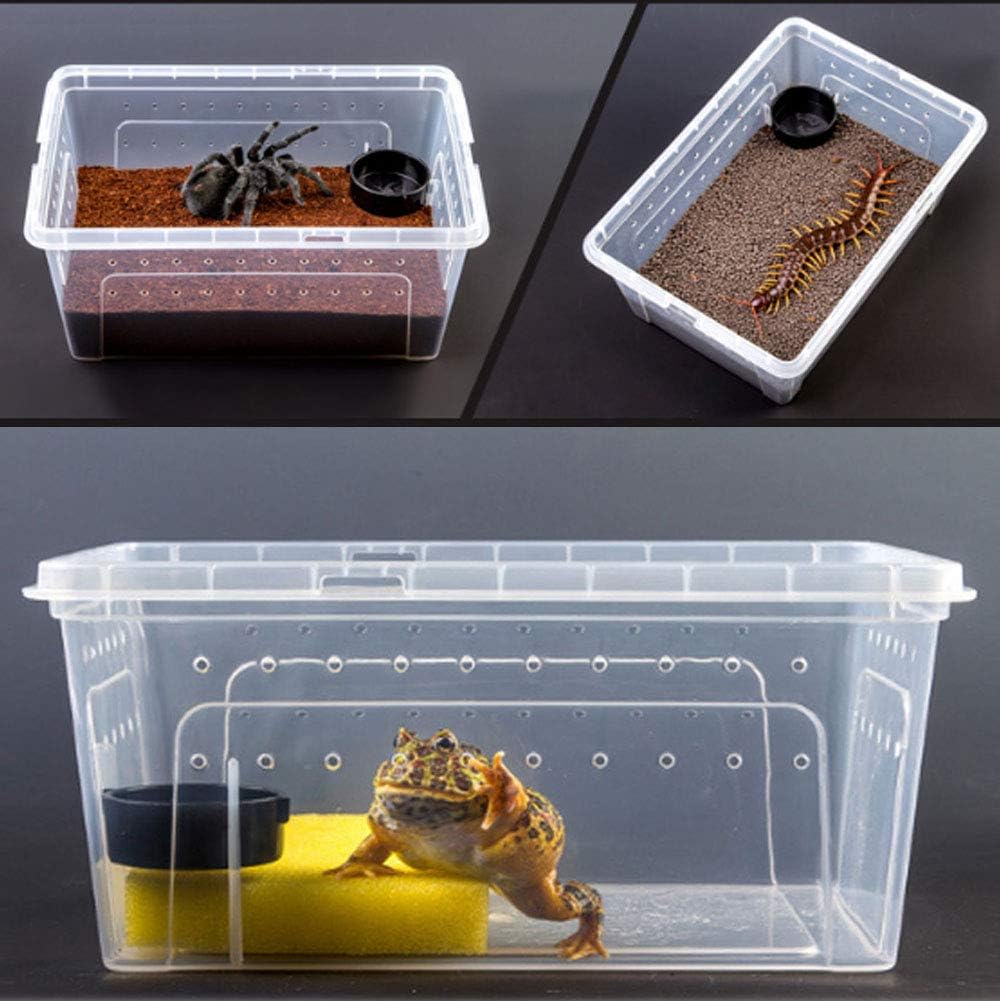 2 PCS Reptile Feeding Box Lizard Tarantula Habitat Cage Hatching Container Snake Breeding Box Transparent Portable Plastic Mini Pet Houses for Scorpion Spider Frog - Pet Explorer