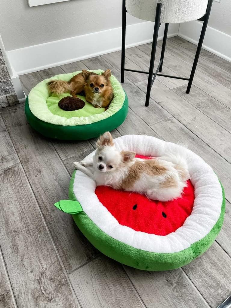 TONBO Soft Plush Small Cute and Cozy Avocado Dog Cat Bed, Washer and Dryer Friendly (Avocado) - Pet Explorer
