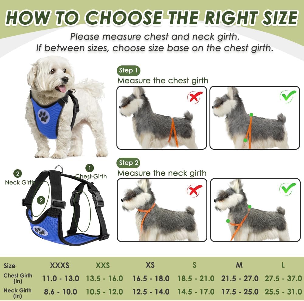 SlowTon Dog Seat Belt Harness for Car, Dog Car Harness Adjustable Mesh Breathable & Dog Seatbelt Safety Tether with Elastic Bungee for Small Medium Large Pets(Blue, Double Clip, XXXS) - Pet Explorer