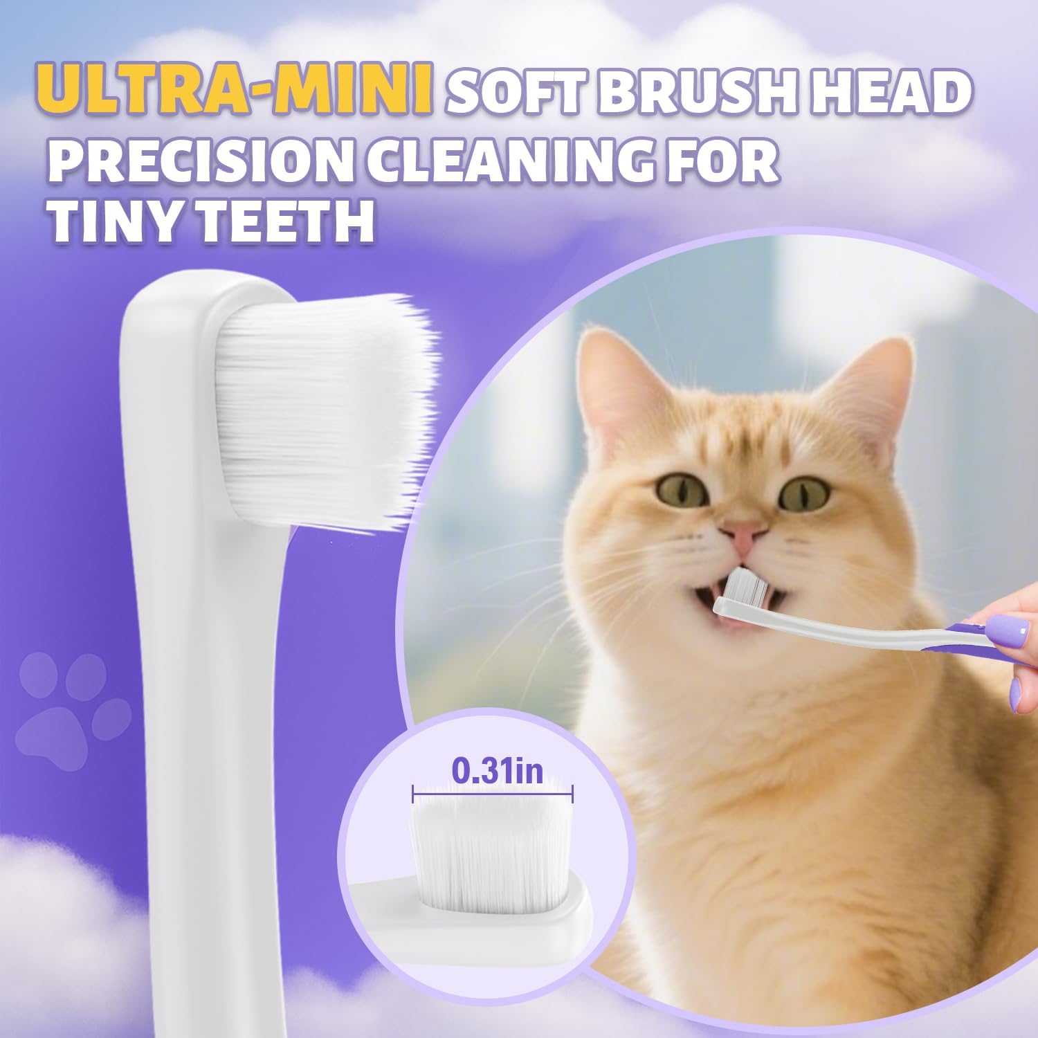 Cat Toothbrush and Toothpaste Kit - Includes Toothpaste (Coconut Chicken 2.5 oz.) Soft Brush, Finger Brush - Provides Safe and Effective Oral Care for Kittens and Adult Cats - Pet Explorer