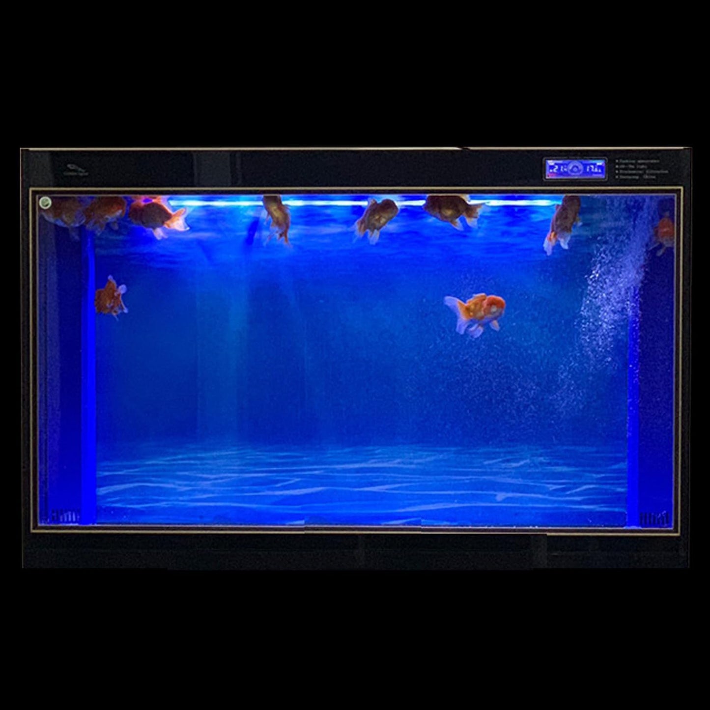 ELEBOX Aquarium Background Blue Black Fish Tank Background Wallpaper Double-Sided Aquarium Backing Paper, Aquarium Decorations for 10 Gallon 20 Gallon Aquarium 15.7" x 32.3" - Pet Explorer