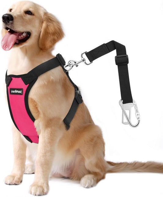 Dog Seat Belt, Safety Vest Dog Car Harness with Adjustable Buckle Dog Seat Belt for Vehicle Nylon Pet Safety Seat Belts Heavy Duty(XXL, Magenta) - Pet Explorer