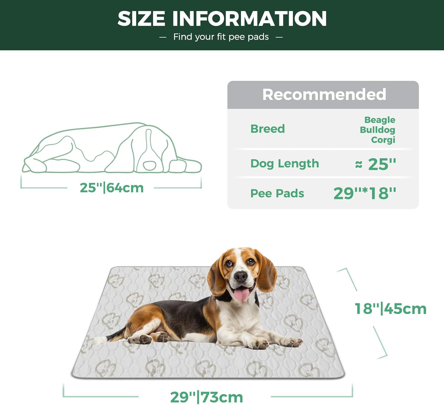 FXW Washable Pee Pads for Dogs, Puppy Pads with Super Absorbent, Specifically Designed for 30inch Cages, 29" × 18" Rectangle, Khaki, 2 Packs - Pet Explorer