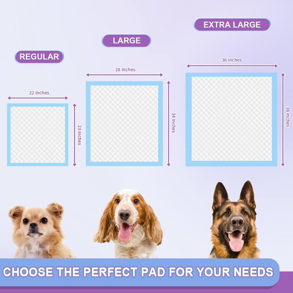 IMMCUTE Puppy Pee Pads 22"x23"-150 Count | Dog Pee Training Pads Super Absorbent & Leak-Proof | Disposable Pet Piddle and Potty Pads for Puppies | Dogs | Doggie| Cats | Rabbits - Pet Explorer