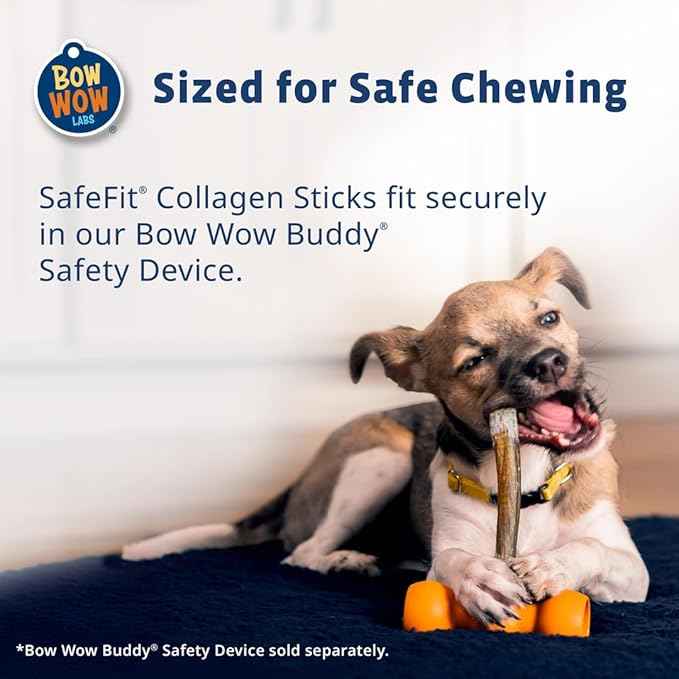 Bow Wow Labs 6" SafeFit Collagen Sticks for Dogs 5 Pack/Thick – All-Natural Chews for Joint, Gut, Bone & Oral Health