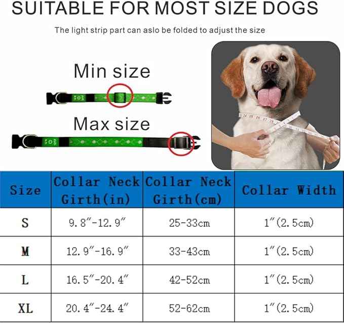 LED Dog Collar with AirTag Holder and Custom ID Tag, 15 Light Modes, Waterproof, Multiple Colors (RED Pro, S(7.87-11.8"))