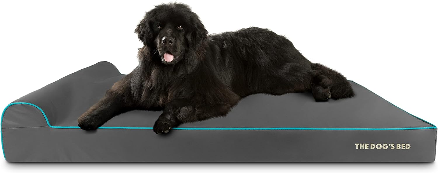 The Dog’s Bed Orthopedic Headrest Dog Bed XXXL Grey/Blue 64x44, Memory Foam, Pain Relief for Arthritis, Hip & Elbow Dysplasia, Post Surgery, Lameness, Veterinary Approved, Waterproof Washable Cover - Pet Explorer