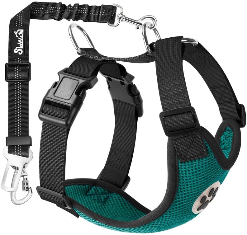 SlowTon Dog Seat Belt Harness for Car, Dog Car Harness Adjustable Mesh Breathable & Dog Seatbelt Safety Tether with Elastic Bungee for Small Medium Large Pets(Green, Double Clip, M) - Pet Explorer