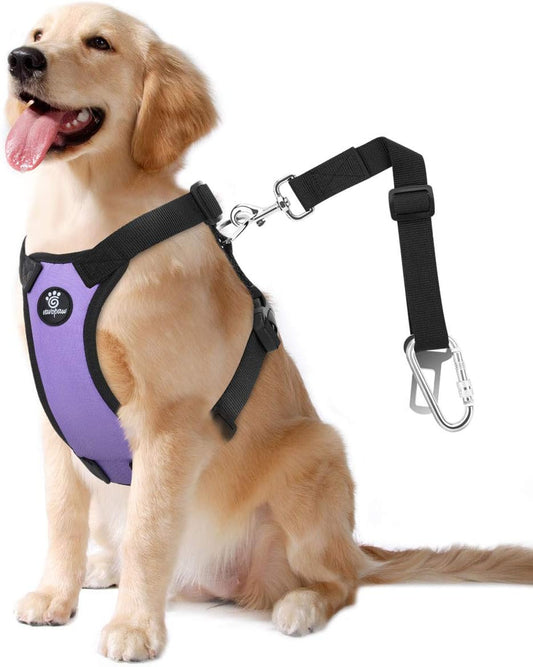 Dog Seat Belt, Safety Vest Dog Car Harness with Adjustable Buckle Dog Seat Belt for Vehicle Nylon Pet Safety Seat Belts Heavy Duty(L, Purple) - Pet Explorer