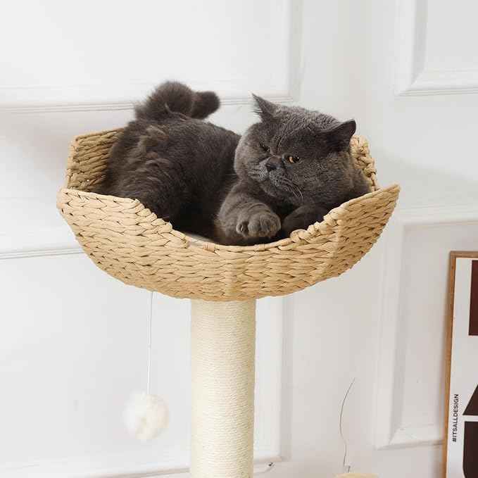 SHENGOCASE 2-Pack 18" Large Cat Tower Tree Add ons Accessories Replacement Part Basket Bed, Handwoven Wicker Rattan Nest Bowl with Soft Cushion
