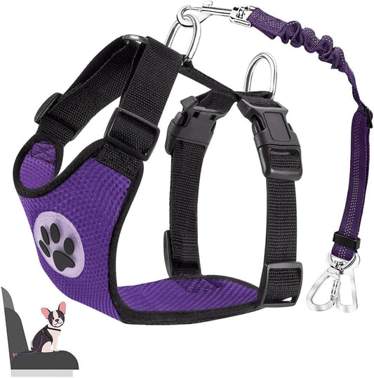 Lukovee Dog Seat Belt for Car, Adjustable Dog Car Harness for Large Medium Small Dogs, Soft Padded & Breathable Mesh Dog Seatbelt with Car Strap and Carabiner(Purple Double Clip,XXX-Small) - Pet Explorer