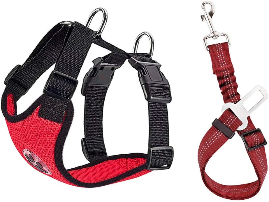SlowTon Dog Seat Belt Harness for Car, Dog Car Harness Adjustable Mesh Breathable & Dog Seatbelt Safety Tether with Elastic Bungee for Small Medium Large Pets(Red Seatbelt, Single Clip, XXXS) - Pet Explorer