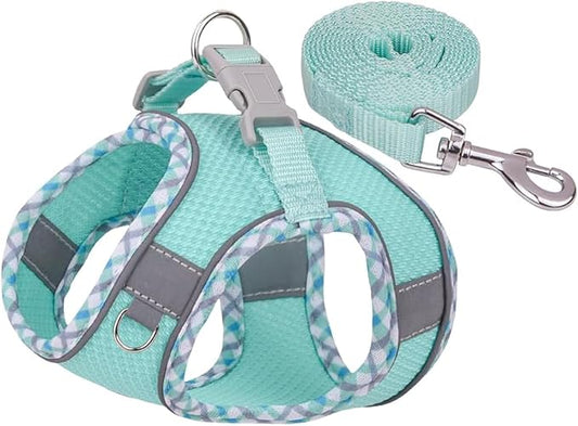 Dog Harness and Leash Set, No Pull Adjustable Reflective Pet Harness for Small Medium Dogs, Step in Vest Harness Easy Walk Dog Harness Outdoor Hiking Training for Small Dogs, Cats(Green, XS)