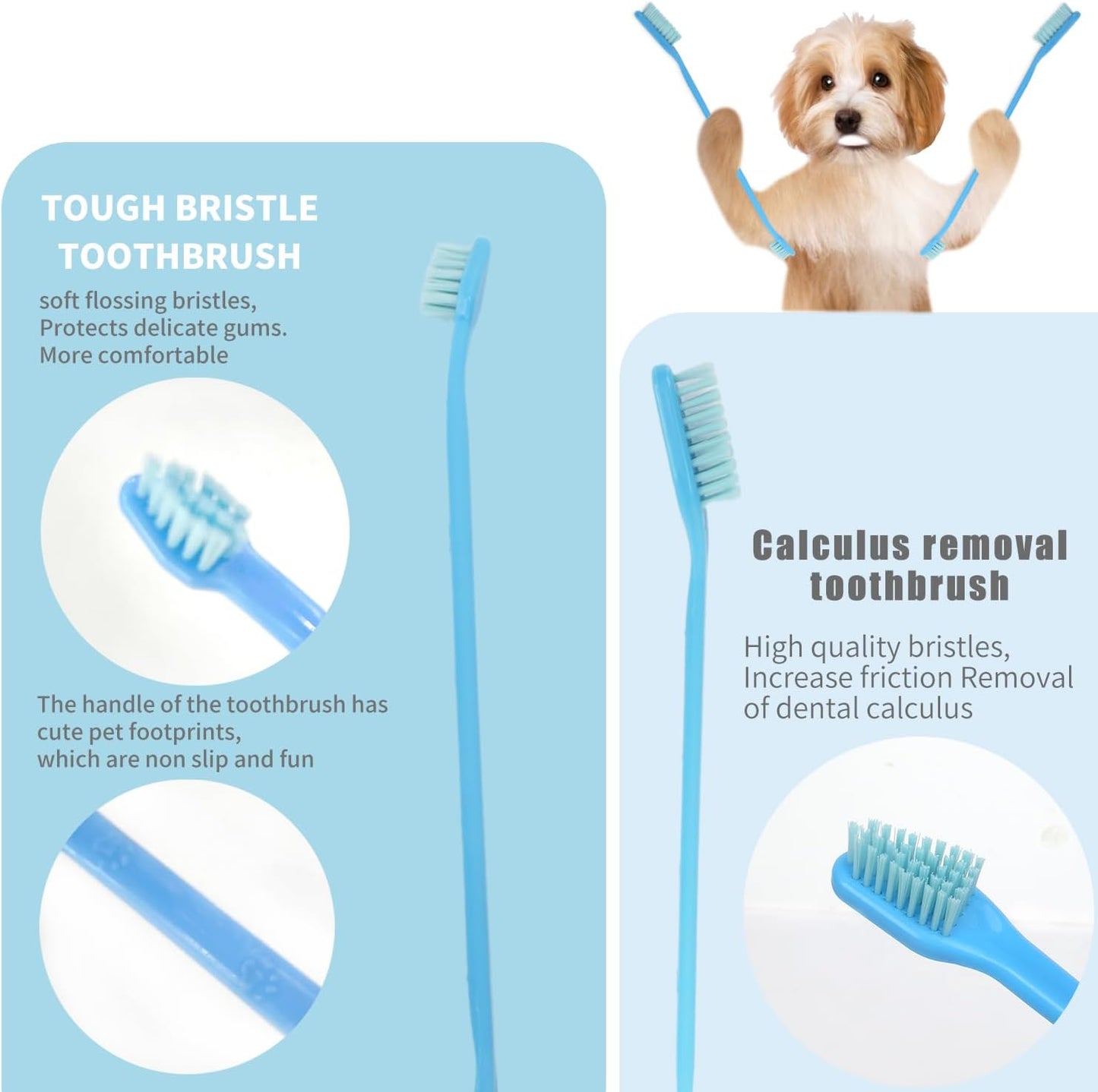 HOP Pet Toothbrush Kit 10PCS Cats Dogs Dental Care Soft Bristles Finger Toothbrush Set Toothpaste Fresh Breath Dog Oral Care Kit Suitable for All Pets Home of Paws - Pet Explorer