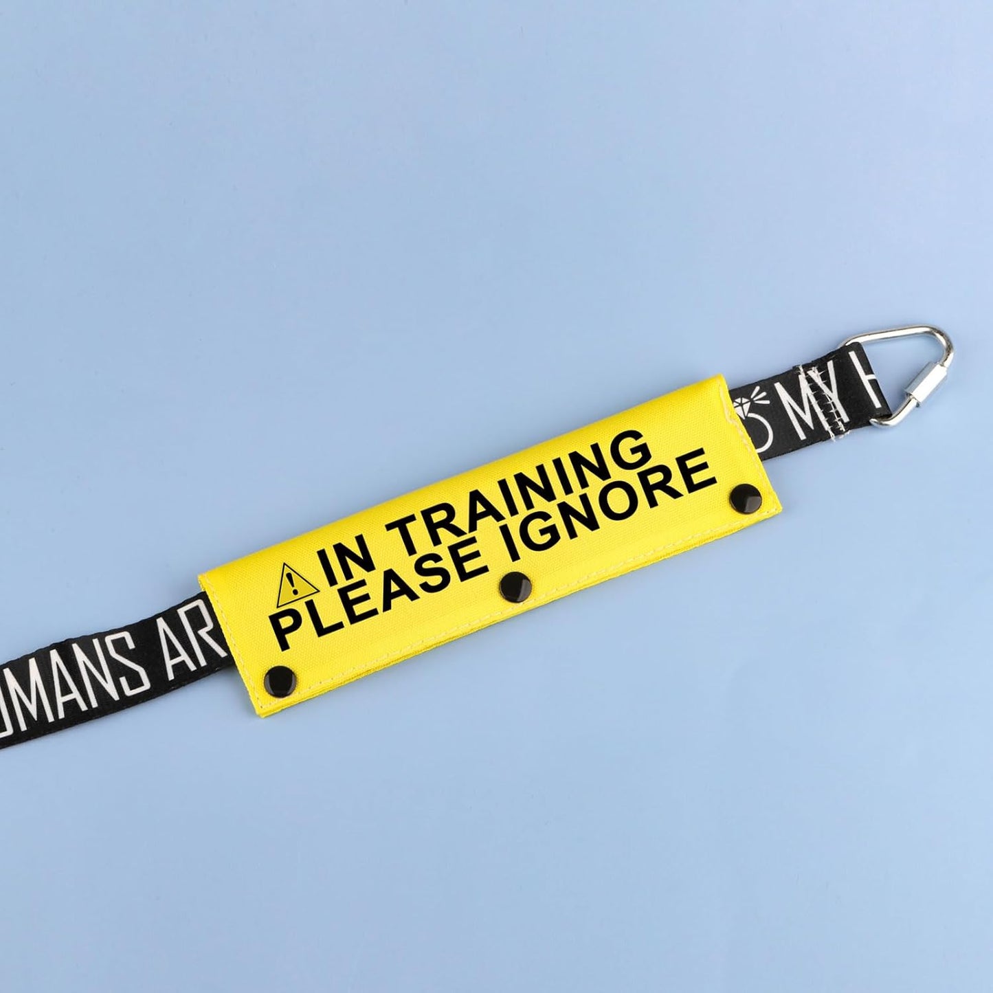 Funny Dog Leash Sleeve in Training Please Ignore Dog Leash Wrap Sleeve Alert Tag Pet Birthday Gift (Training Please Ignore-YE Sleeve) - Pet Explorer