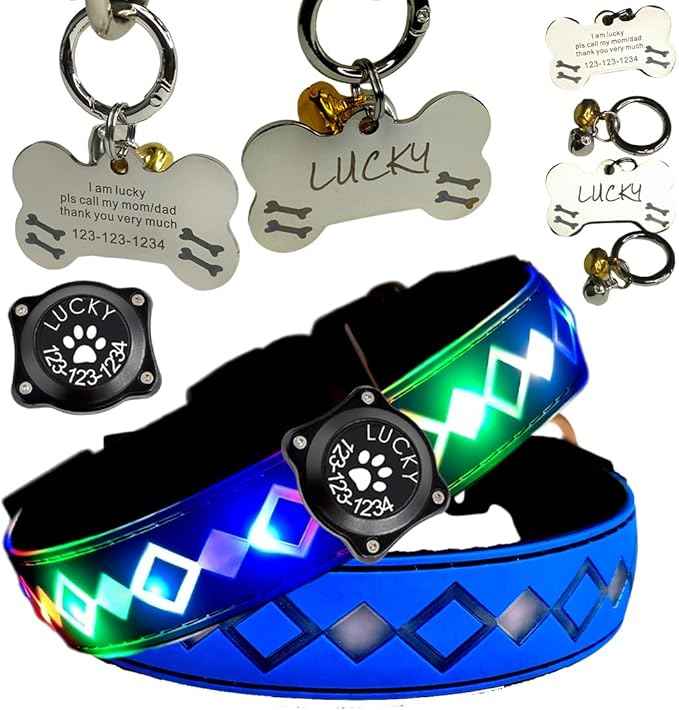 LED Dog Collar with AirTag Holder and Custom ID Tag, 15 Light Modes, Waterproof, Multiple Colors (Blue Pro, S(7.87-11.8"))