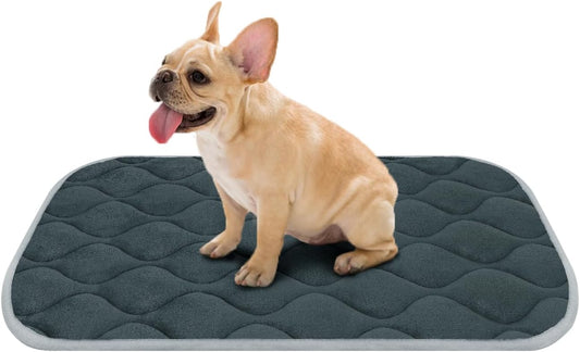 furrybaby Dog Bed Mat Flat Crate Mat with Anti-Slip Bottom Machine Washable Pet Kennel Pad for Dog Sleeping (M 30x19'', Grey Mat) - Pet Explorer
