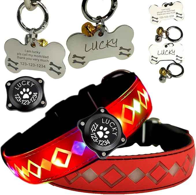 LED Dog Collar with AirTag Holder and Custom ID Tag, 15 Light Modes, Waterproof, Multiple Colors (RED Pro, S(7.87-11.8"))