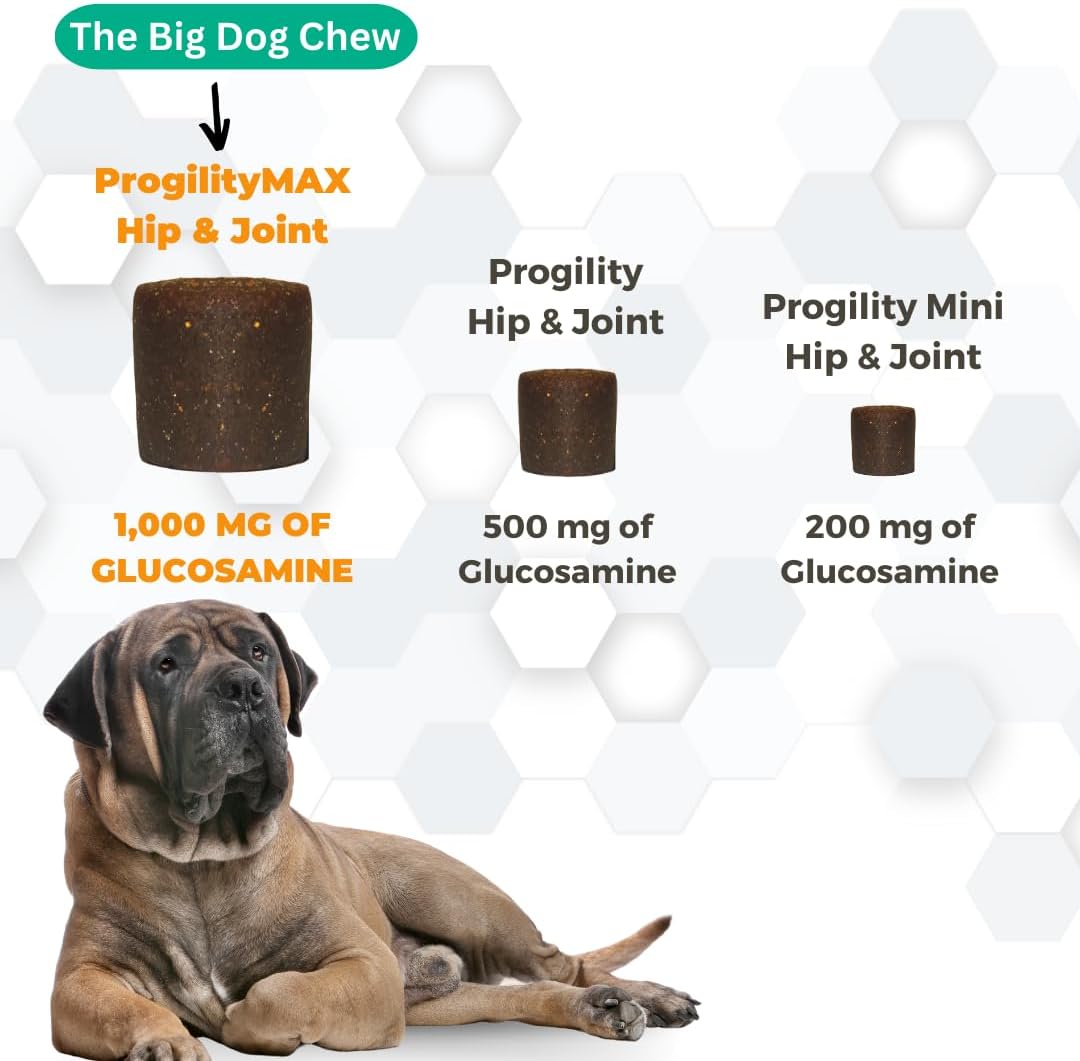 Nootie ProgilityMAX Hip & Joint Supplement for Large Dogs, Maximum Strength Dog Joint Support with Eggshell Membrane, Glucosamine and Chondroitin, 60 Count - Pet Explorer