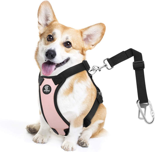 Dog Seat Belt, Safety Vest Dog Car Harness with Adjustable Buckle Dog Seat Belt for Vehicle Nylon Pet Safety Seat Belts Heavy Duty(M, Pink) - Pet Explorer