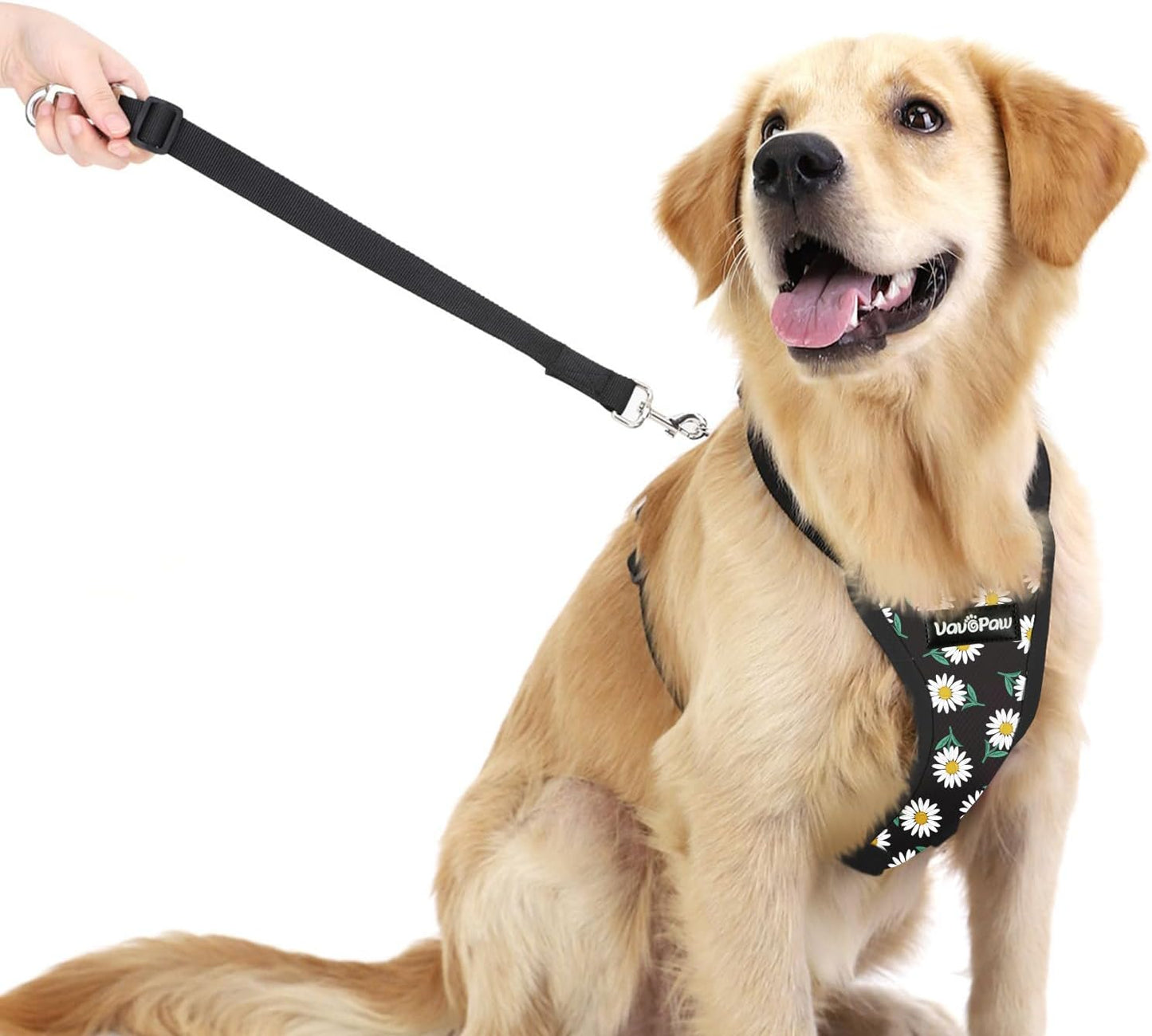 Dog Seat Belt, Safety Vest Dog Car Harness with Adjustable Buckle Dog Seat Belt for Vehicle Nylon Pet Safety Seat Belts Heavy Duty(S, Black Daisy) - Pet Explorer