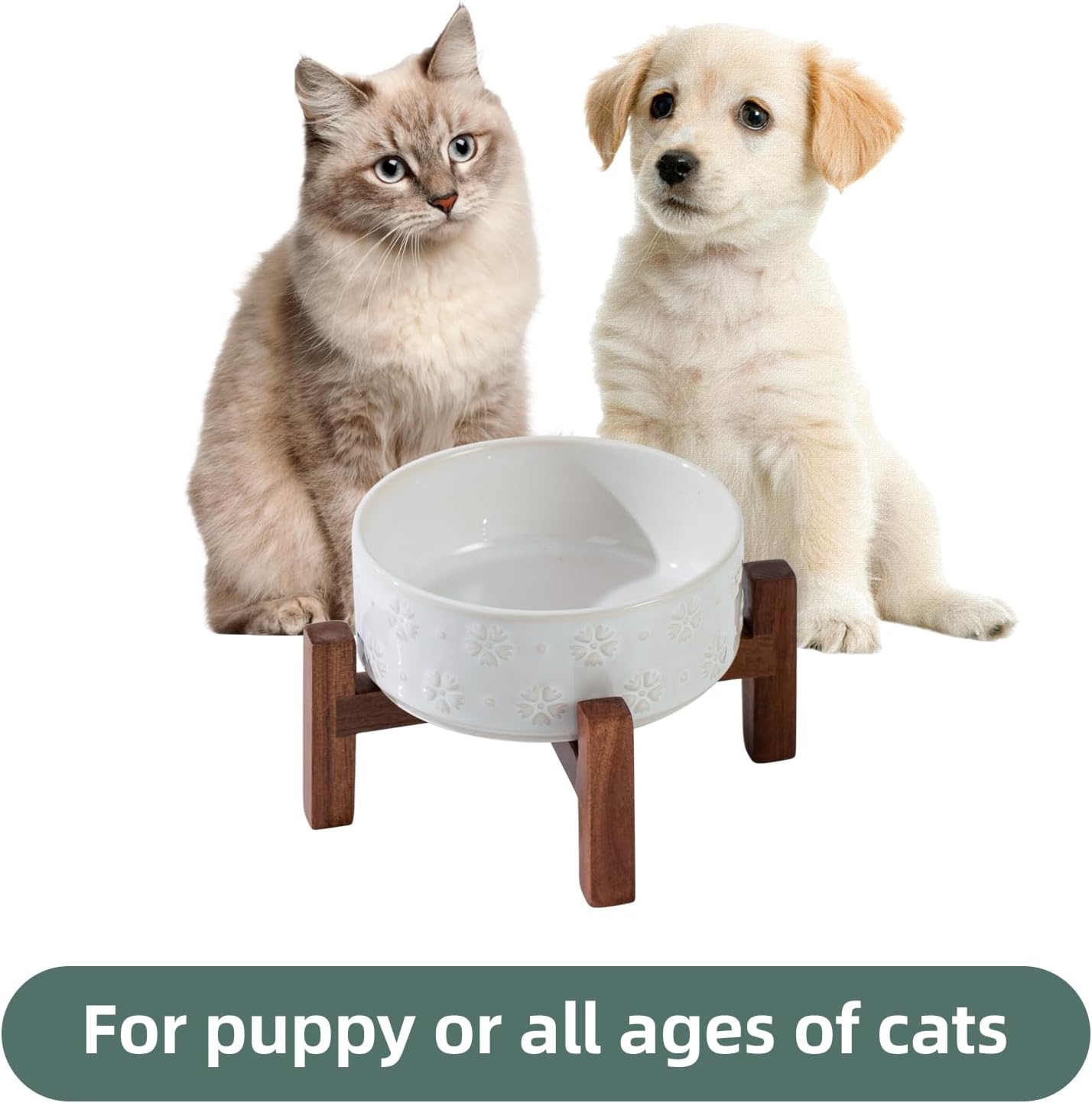 Ceramic 5.1inch Raised Dog and Cat Bowl Set, 2 Heights Elevated Wooden Stand for Puppy, Kitty, Cats, Weighted Pet Food and Water Dishes(5.1'',13.5oz, Arctic White) - Pet Explorer