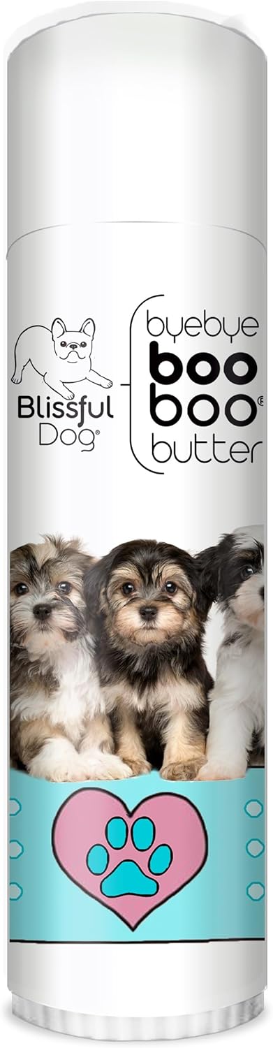 The Blissful Dog Havanese Boo Boo Butter, 0.50-Ounce - Pet Explorer